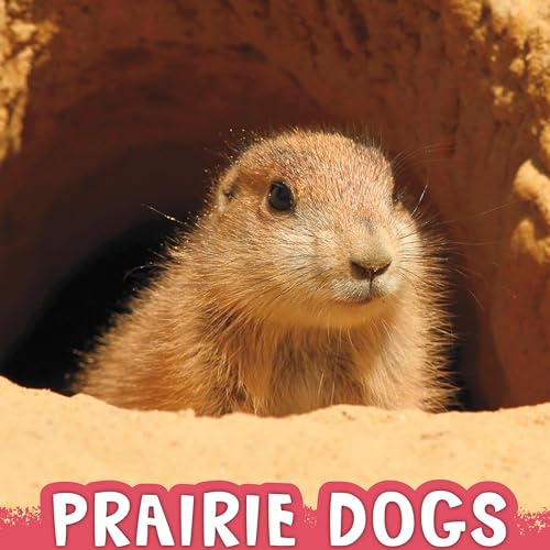 Cover of Prairie Dogs