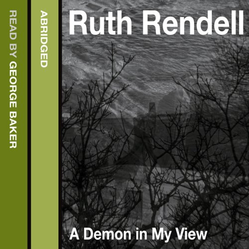 Cover of A Demon in My View