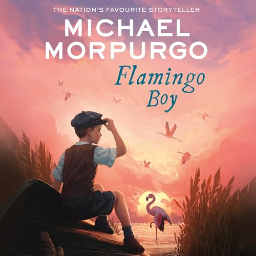 Cover of Flamingo Boy
