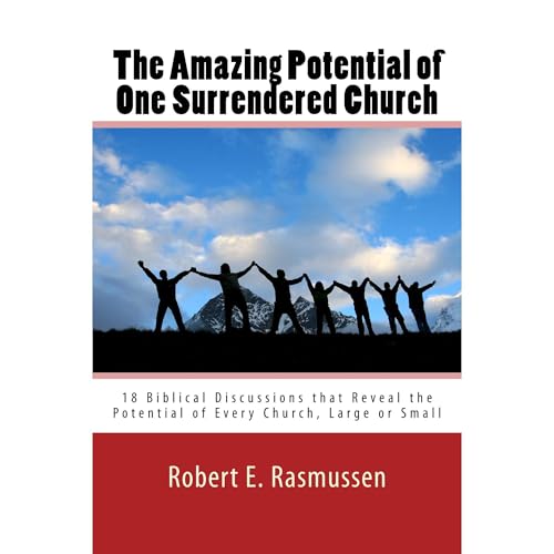 Cover of The Amazing Potential of One Surrendered Church
