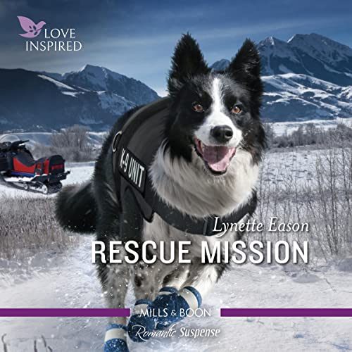 Cover of Rescue Mission