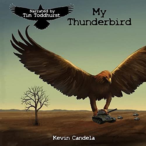Cover of My Thunderbird