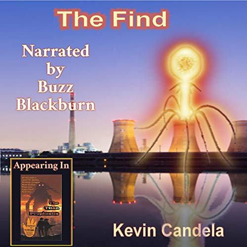 Cover of The Find