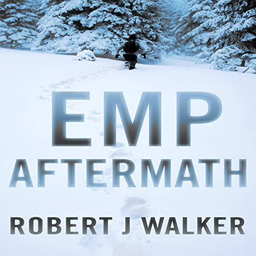 Cover of EMP Aftermath