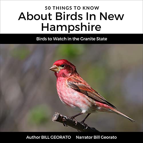 Cover of 50 Things to Know About Birds in New Hampshire: Birds to Watch in the Granite State