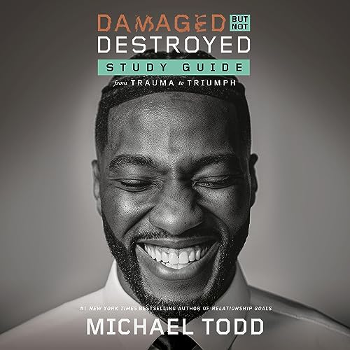 Cover of Damaged but Not Destroyed Study Guide