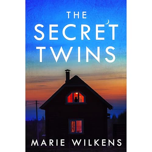 Cover of The Secret Twins: A Riveting Small Town Kidnapping Mystery