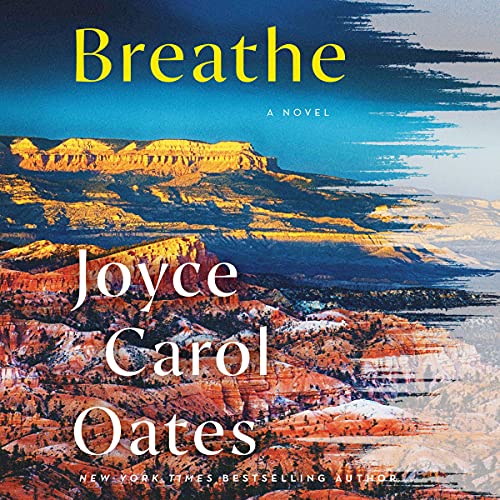 Cover of Breathe