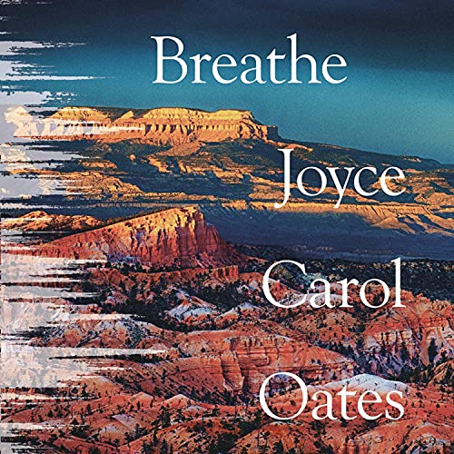 Cover of Breathe