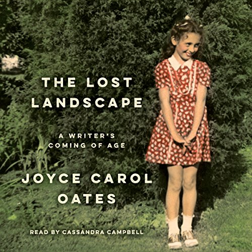 Cover of The Lost Landscape