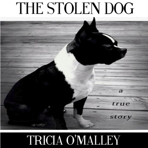 Cover of The Stolen Dog