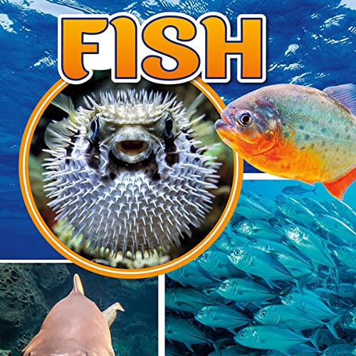 Cover of Fish