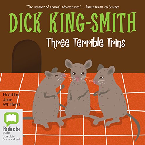 Cover of Three Terrible Trins
