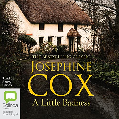 Cover of A Little Badness