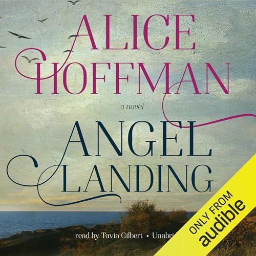 Cover of Angel Landing