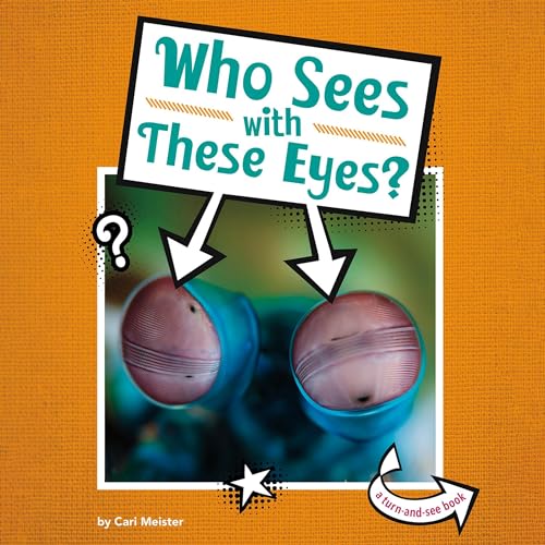 Cover of Who Sees with These Eyes?