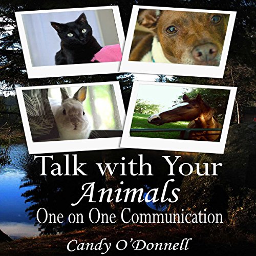 Cover of Talk With Your Animals