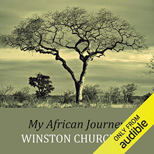 Cover of My African Journey