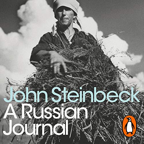 Cover of A Russian Journal