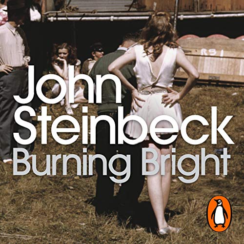 Cover of Burning Bright