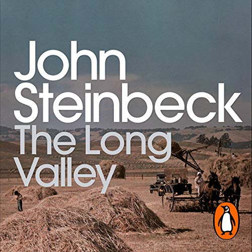 Cover of The Long Valley