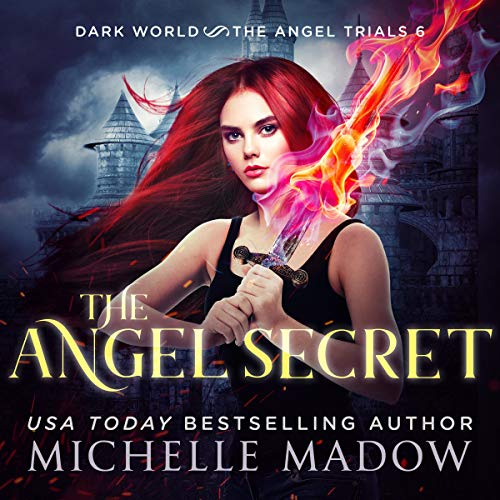 Cover of The Angel Secret