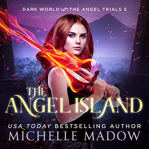 Cover of The Angel Island