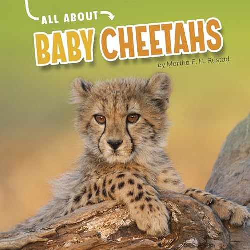 Cover of All About Baby Cheetahs