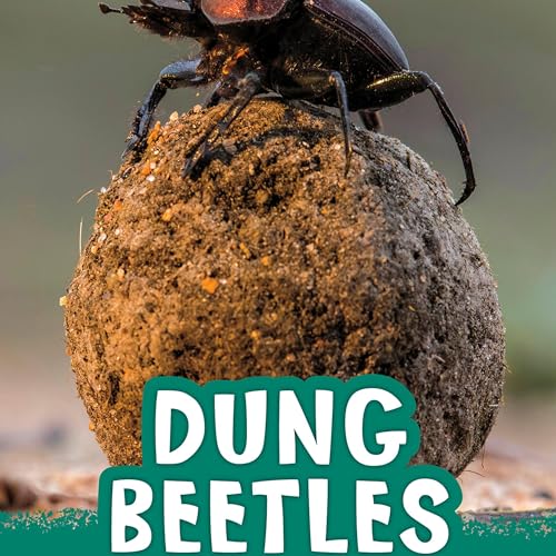 Cover of Dung Beetles