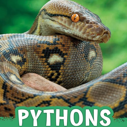 Cover of Pythons