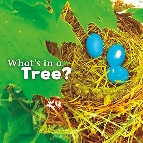 Cover of What's in a Tree?