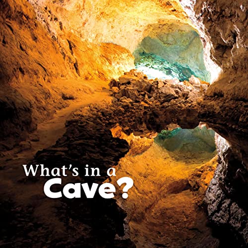Cover of What's in a Cave?