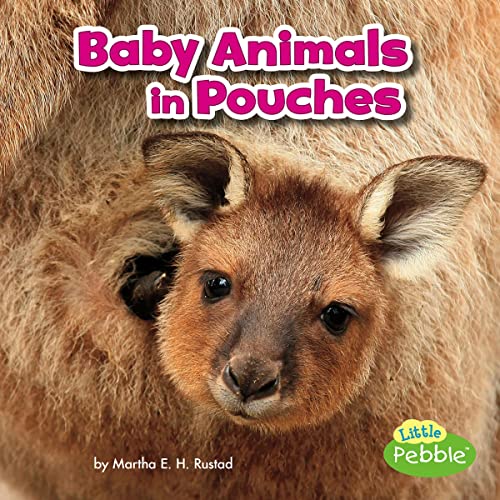 Cover of Baby Animals in Pouches