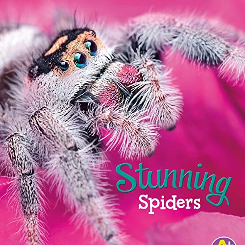 Cover of Stunning Spiders