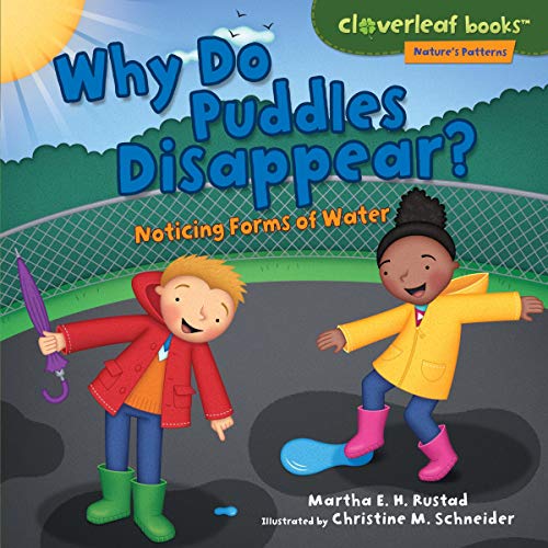 Cover of Why Do Puddles Disappear?