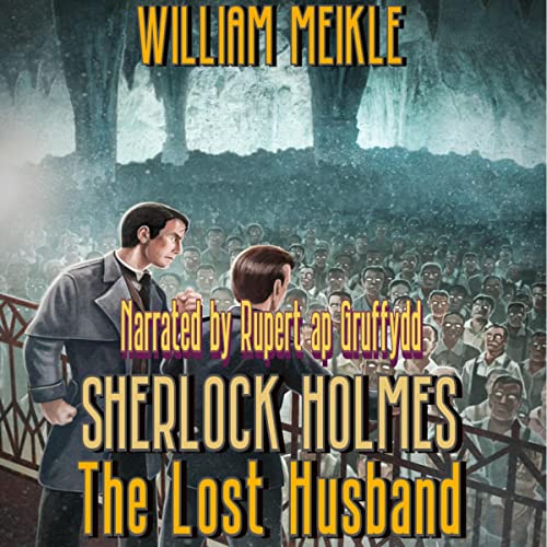 Cover of The Lost Husband
