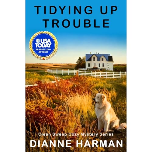 Cover of Tidying Up Trouble