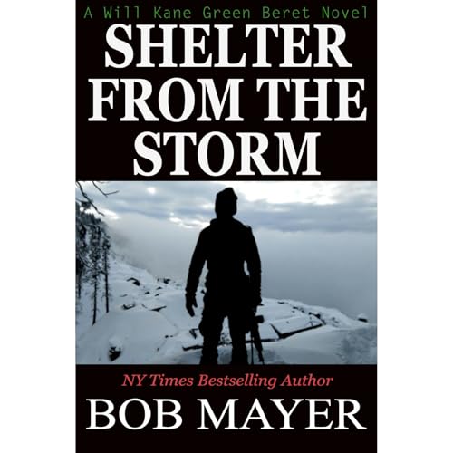 Cover of Shelter From The Storm