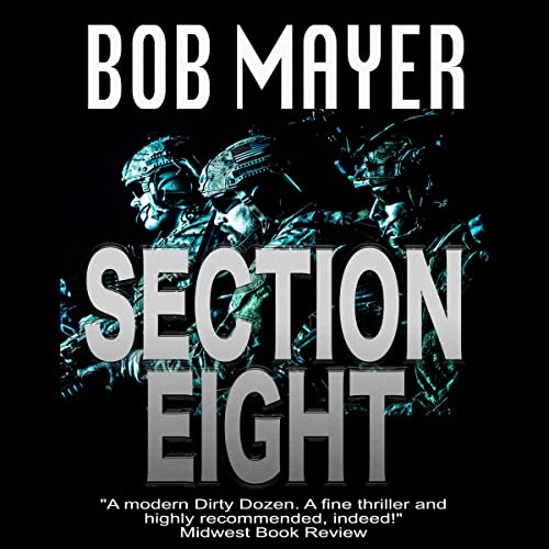 Cover of Section Eight (Shadow Warriors)