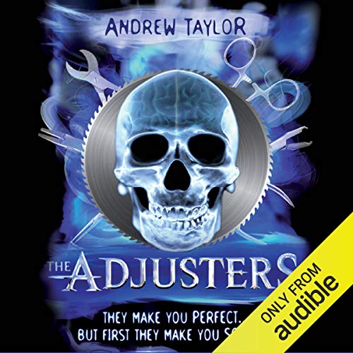 Cover of The Adjusters