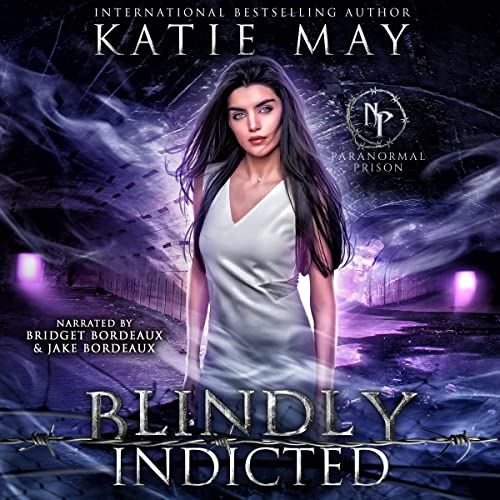 Cover of Blindly Indicted