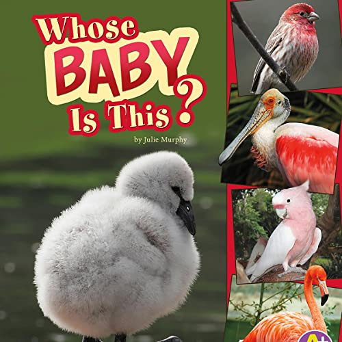 Cover of Whose Baby Is This?