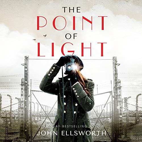 Cover of The Point of Light