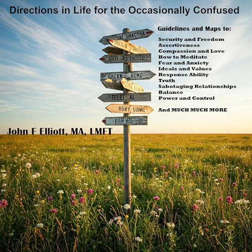 Cover of Directions in Life for the Occasionally Confused, Vol I