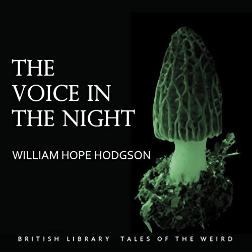 Cover of The Voice in the Night