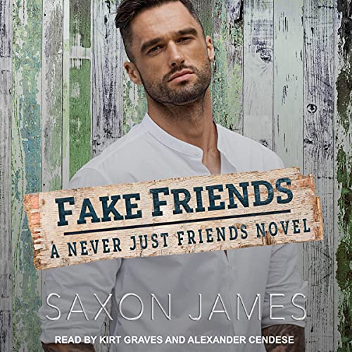 Cover of Fake Friends