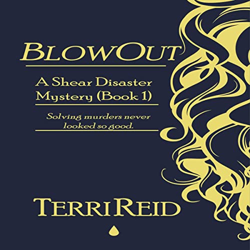 Cover of BlowOut