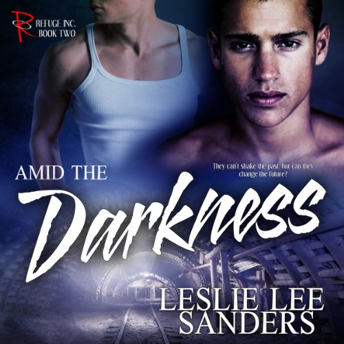 Cover of Amid the Darkness