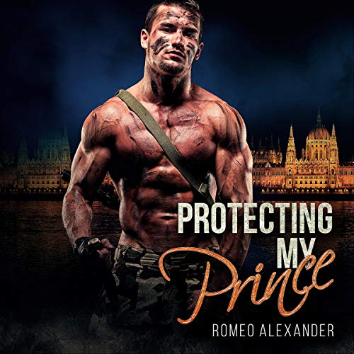 Cover of Protecting My Prince