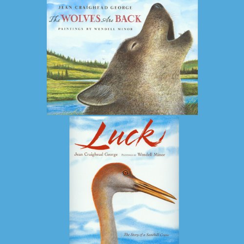 Cover of Luck / The Wolves Are Back